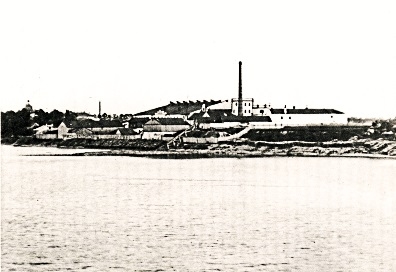 улица Горького в г. Пскове